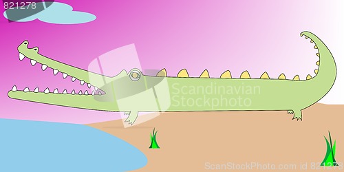 Image of crocodile