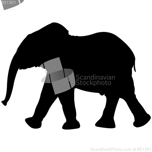 Image of baby elephant silhouette isolated on white
