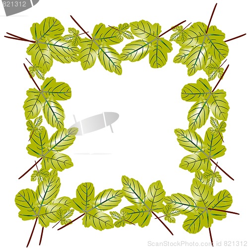 Image of leaves foliage