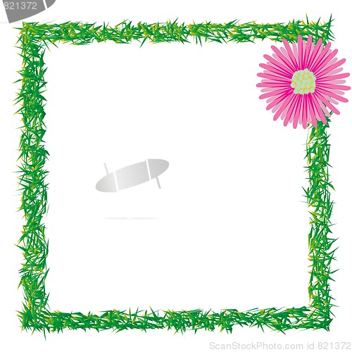 Image of grass and flower photo frame