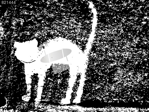 Image of plaster cat