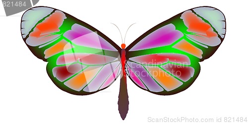 Image of butterfly 3