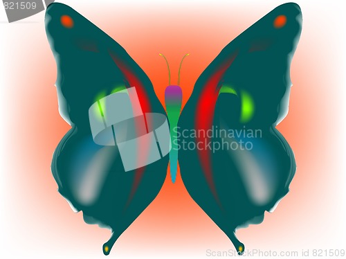 Image of butterfly