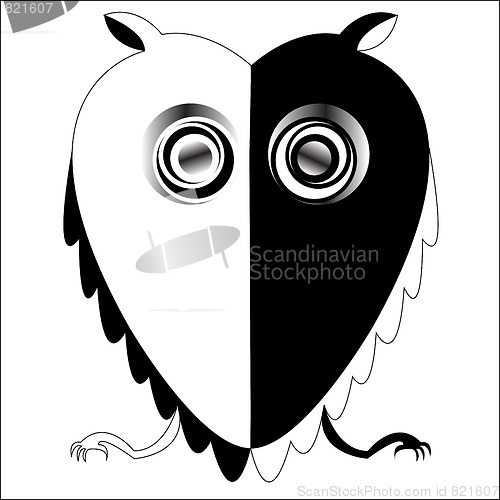 Image of black and white owl