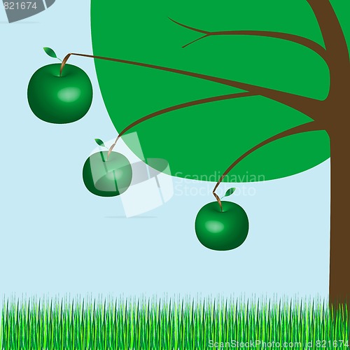 Image of apple tree
