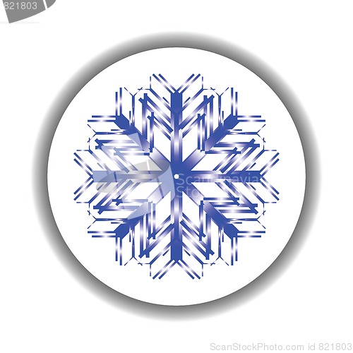 Image of snow flake medallion