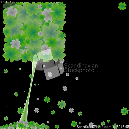 Image of clover tree