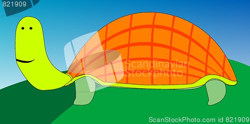 Image of turtle cartoon drawing