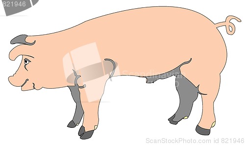 Image of cartoon of a pig