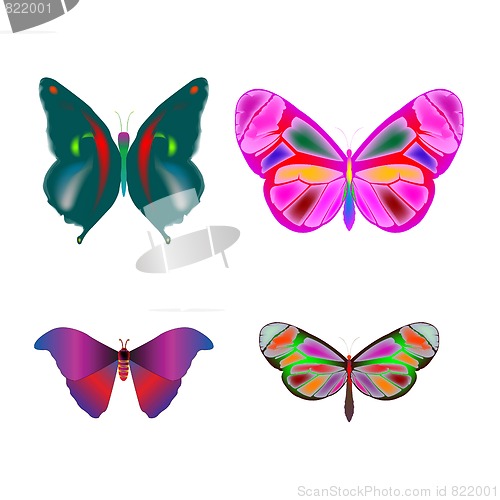 Image of butterflies collection (only jpeg)