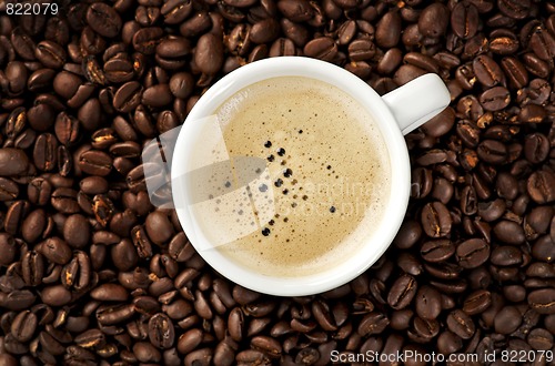 Image of Cappucino on coffee beans