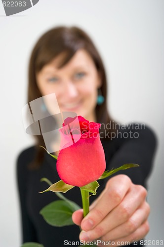 Image of Girl Offering Red Rose