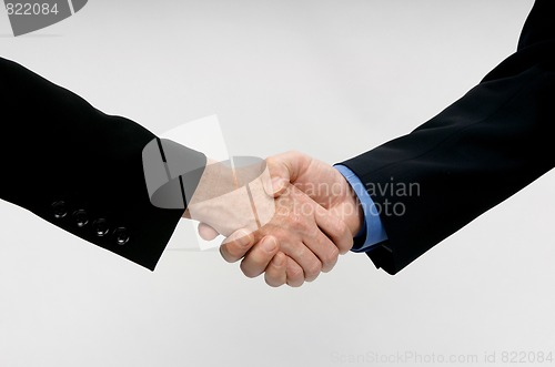 Image of Professional Hand Shake