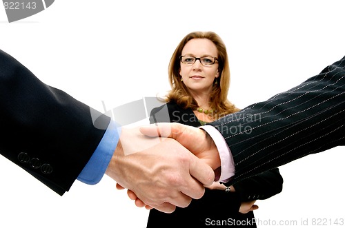 Image of Professional Hand Shake