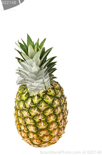 Image of Pineapple on White Background
