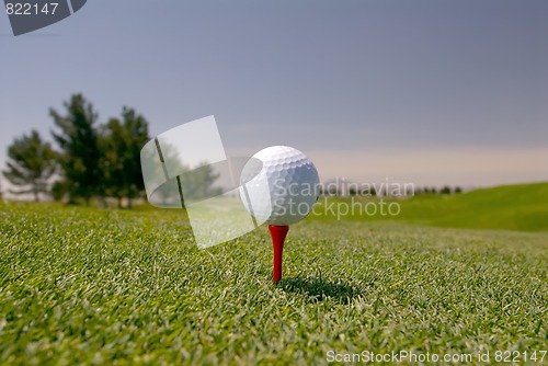 Image of White Golf Ball on Tee