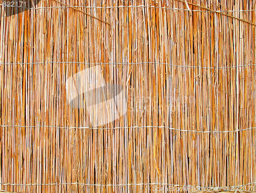 Image of wicker fence