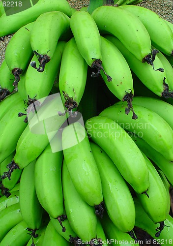 Image of bunch of green bananas