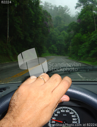 Image of driving in the middle of a forest