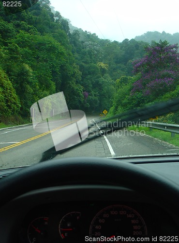 Image of driving in the middle of a forest