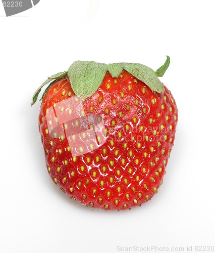 Image of Fat Strawberry