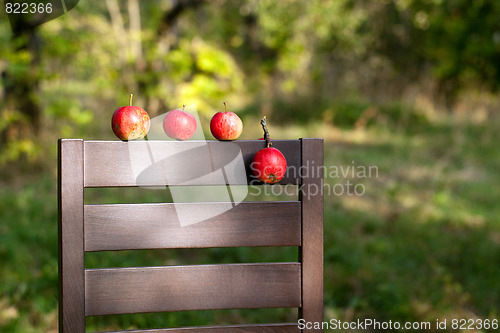 Image of Ripe red apples on the back of chair