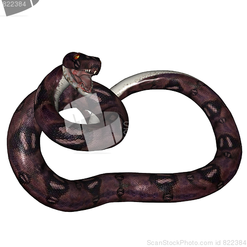 Image of Snake