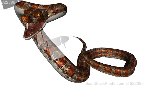 Image of Snake