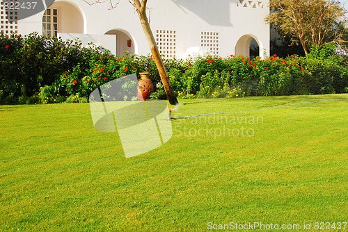 Image of garden