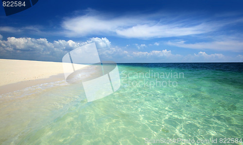 Image of tropical beach