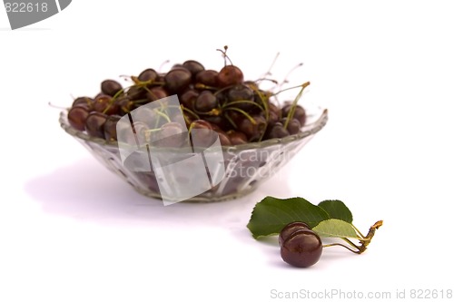 Image of Cherries