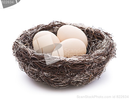 Image of Eggs