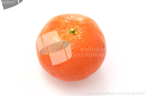 Image of Mandarin