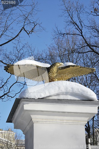 Image of Symbolic Golden Eagle