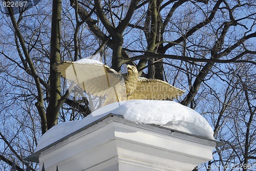 Image of Symbolic Golden Eagle