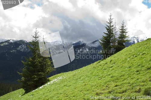 Image of Mountains spring