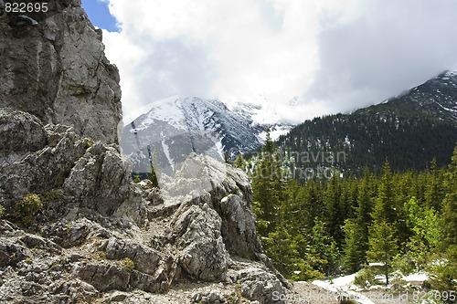 Image of Mountains spring