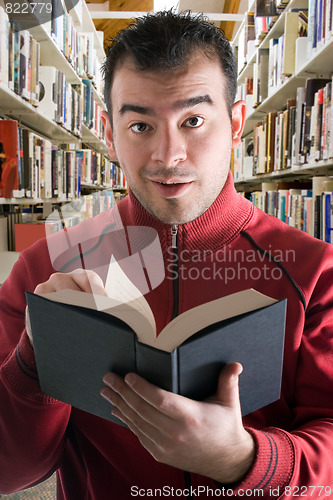 Image of Reading At the Library