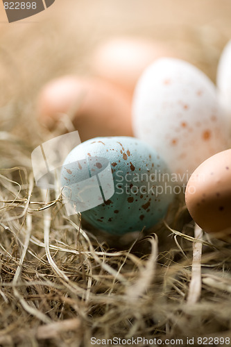 Image of Easter eggs