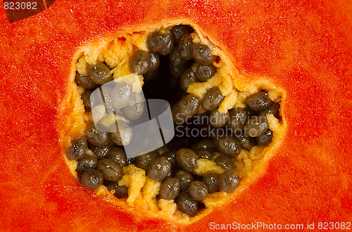 Image of Mellow Papaya