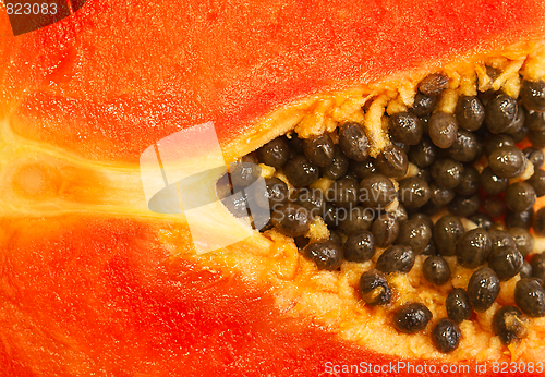 Image of Mellow Papaya