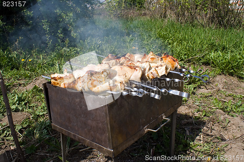 Image of Chicken Shashlik