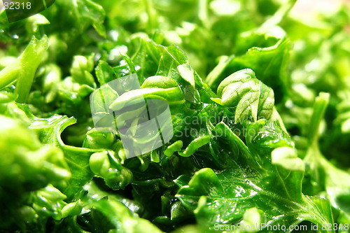 Image of parsley