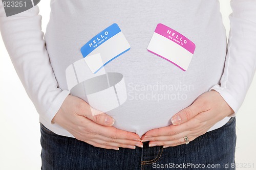 Image of Pregnant Mother Blue and Pink Name Tags