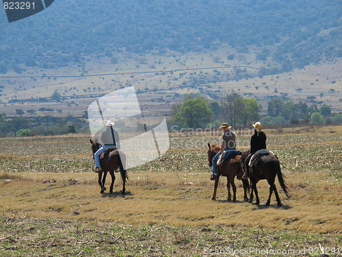 Image of Horseback riding