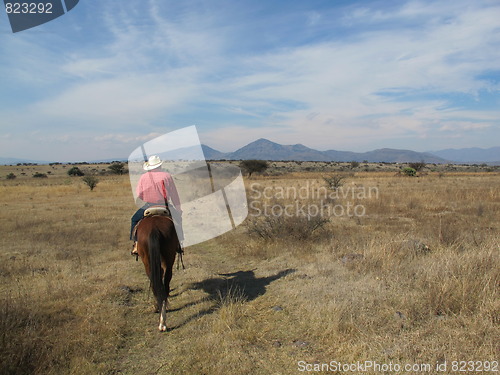 Image of Mexican lonely rider