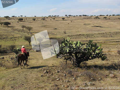 Image of Riding in Mexican countryside