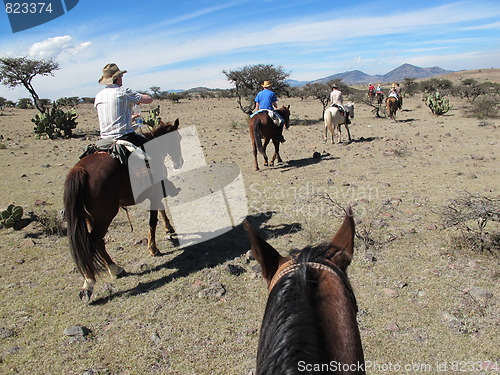 Image of Horseback riding