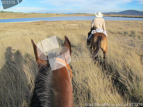 Image of Horseback riding