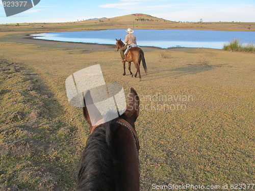 Image of Horseback riding